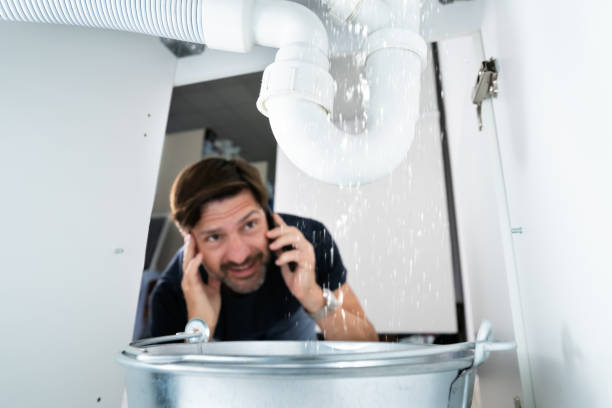 Best Residential Plumbing Services  in Zelienople, PA