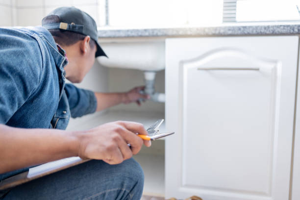 Best Local Plumber Services  in Zelienople, PA