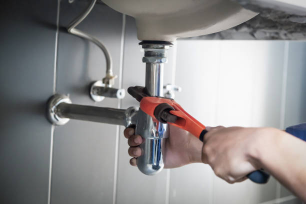 Best Residential Plumbing Services  in Zelienople, PA