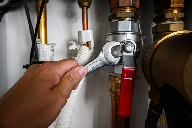 Best Affordable Plumbing Services  in Zelienople, PA